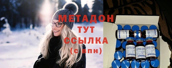 индика Белая Холуница