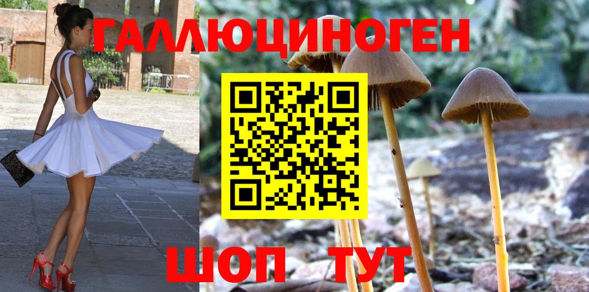Галлюциногенные грибы MAGIC MUSHROOMS Борисоглебск